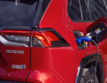 Suzuki Across [UK-spec] '2020–26