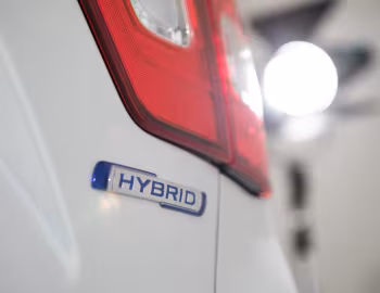 Suzuki Ignis "Ginza" [Italy] '2018