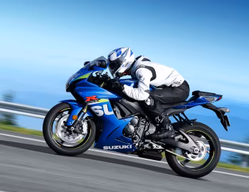 2015 Suzuki GSX-R750 [North America] (L5)
