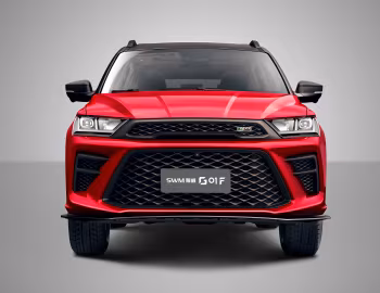 SWM G01 F '2019–21