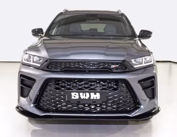 SWM G01 F '2019–21