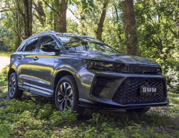 SWM G01 F '2019–21