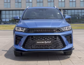 SWM G01 F '2019–21