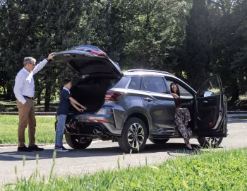 SWM G01 F '2019–21