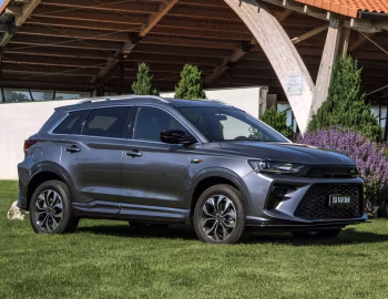 SWM G01 F '2019–21