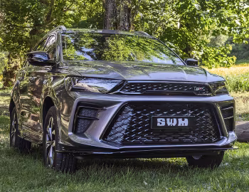 SWM G01 F '2019–21