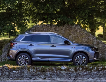 SWM G01 F '2019–21