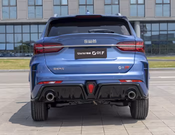 SWM G01 F '2019–21
