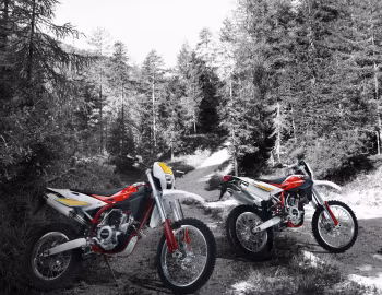 SWM RS 300 R '2015–至今