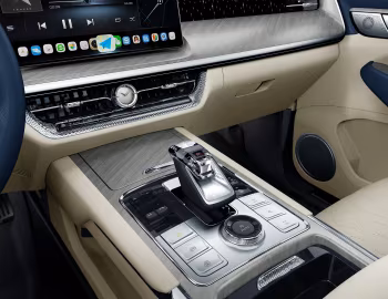 Interior Tank 500 Sport [China] '2022–25