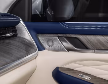 Interior Tank 500 Sport [China] '2022–25