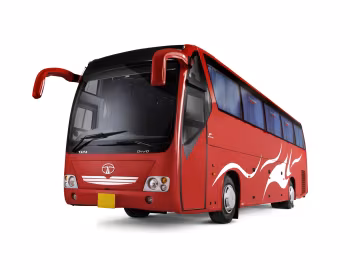 Tata Divo [Spain] '2011–13