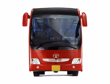 Tata Divo [Spain] '2011–13