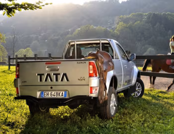Tata Xenon Single Cab [EU-spec] '2007–pr.