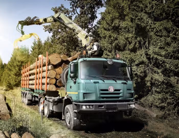 Tatra T815 231R25-325 TerrN°1 timber truck '2010–????