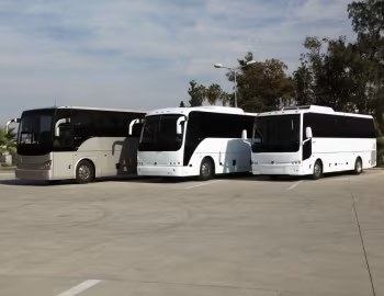 Temsa TS 45, Temsa TS 35, Temsa TS 30