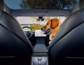 Интерьер Tesla Model 3 [North America] '2024–н.в.