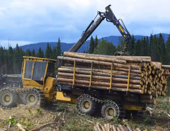 Tigercat 1075B '2008–16