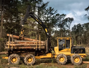 Tigercat 1075C '2016–pr.
