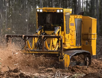 Tigercat 480B '2017–pr.