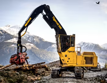 Tigercat 890 '02.2019–pr.
