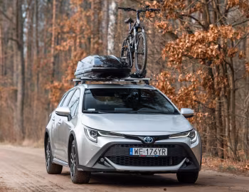 Toyota Corolla Trek Hybrid [Worldwide] '2019–22
