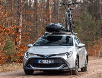 Toyota Corolla Trek Hybrid [Worldwide] '2019–22