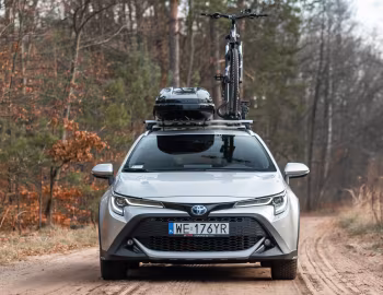 Toyota Corolla Trek Hybrid [Worldwide] '2019–22