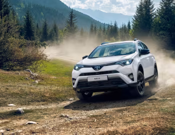 Toyota RAV4 "25th Anniversary" [CIS] '2018–19