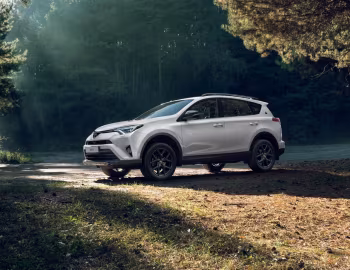 Toyota RAV4 "25th Anniversary" [CIS] '2018–19