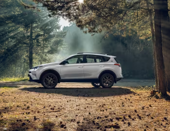 Toyota RAV4 "25th Anniversary" [CIS] '2018–19