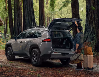 2026 Toyota RAV4 HEV AWD Woodland [North America] '2025–pr.