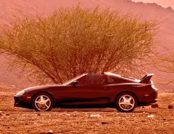 1997–98 Toyota Supra Turbo Sport Roof [North America] (JZA80) '1996–98