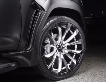 WALD Toyota Land Cruiser Black Bison Edition (300) '2022–pr.
