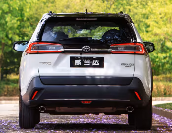 Toyota Wildlander '2020–25