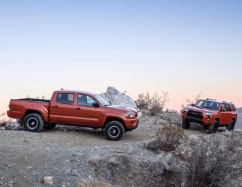 TRD