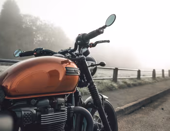 Triumph Bonneville Dapper Bonnie DGR100 '2017