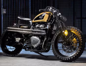 Triumph So Special [Italy] '2014–15