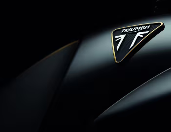 Triumph Thruxton TFC '2019