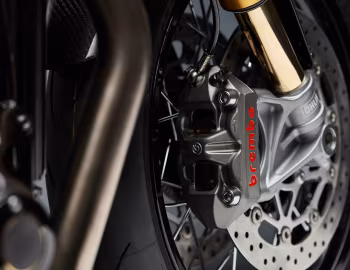 Triumph Thruxton TFC '2019