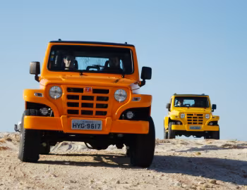 Troller T4 '2009–12