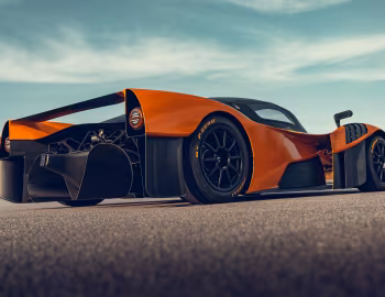 Adamastor Furia '2024–pr.