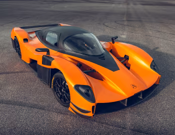 Adamastor Furia '2024–pr.