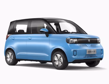 Baizhi Daxiong '2021–pr.