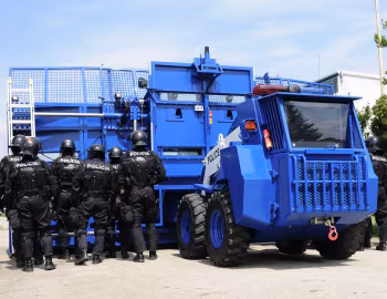 Božena Riot '2010–pr.
