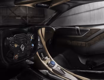 Interior Felino cB7R '2019