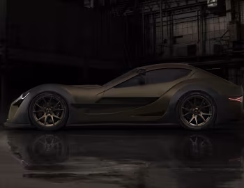 Felino cB7R '2019