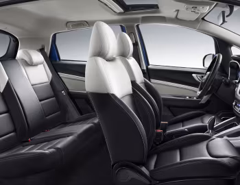 Interior Maple 30X '2020–pr.