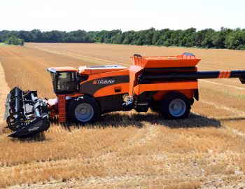 Tribine '01.2013–pr.