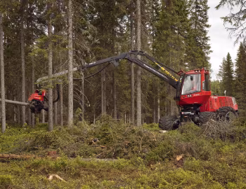 Valmet 901TX '2009–10
